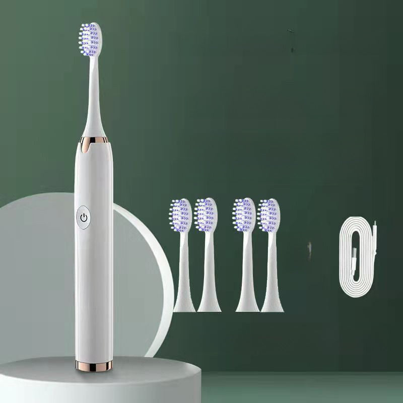 BROSSE A DENTS ELECTRIQUE RECHARGEABLE