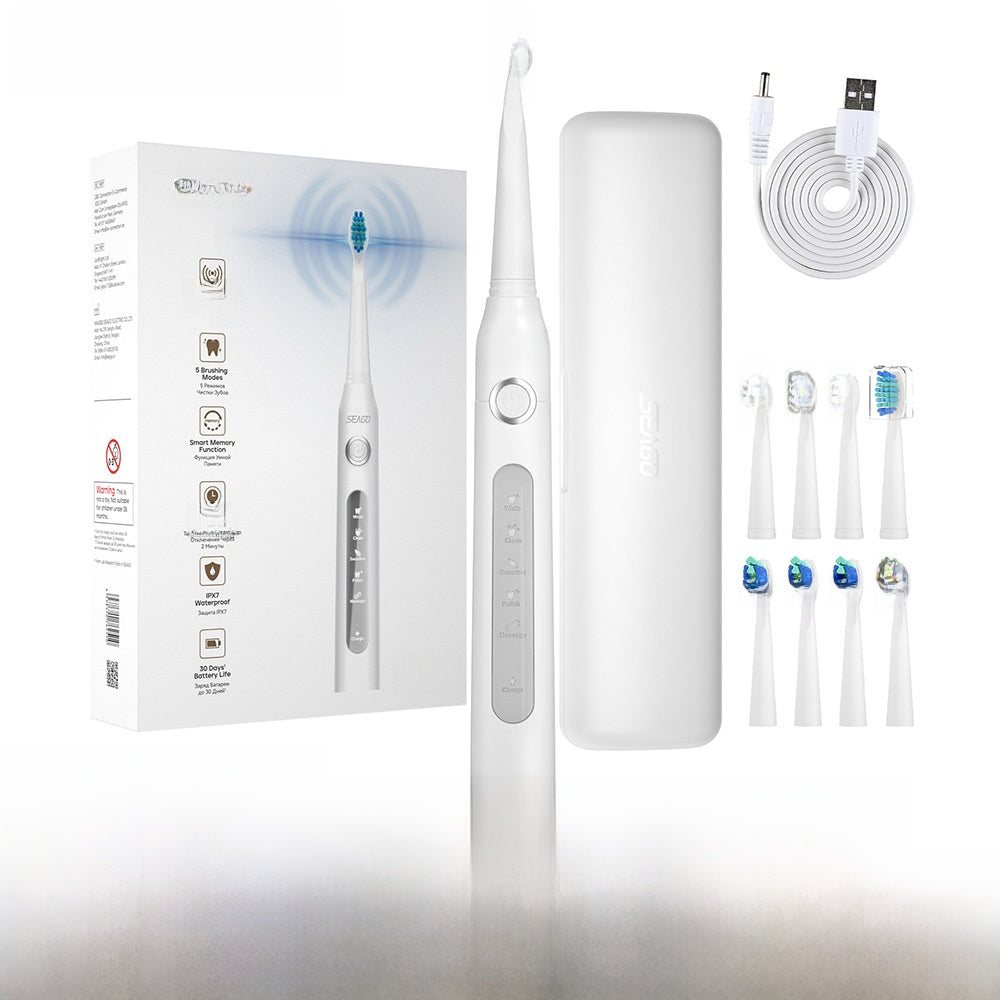 BROSSE A DENTS ELECTRIQUE