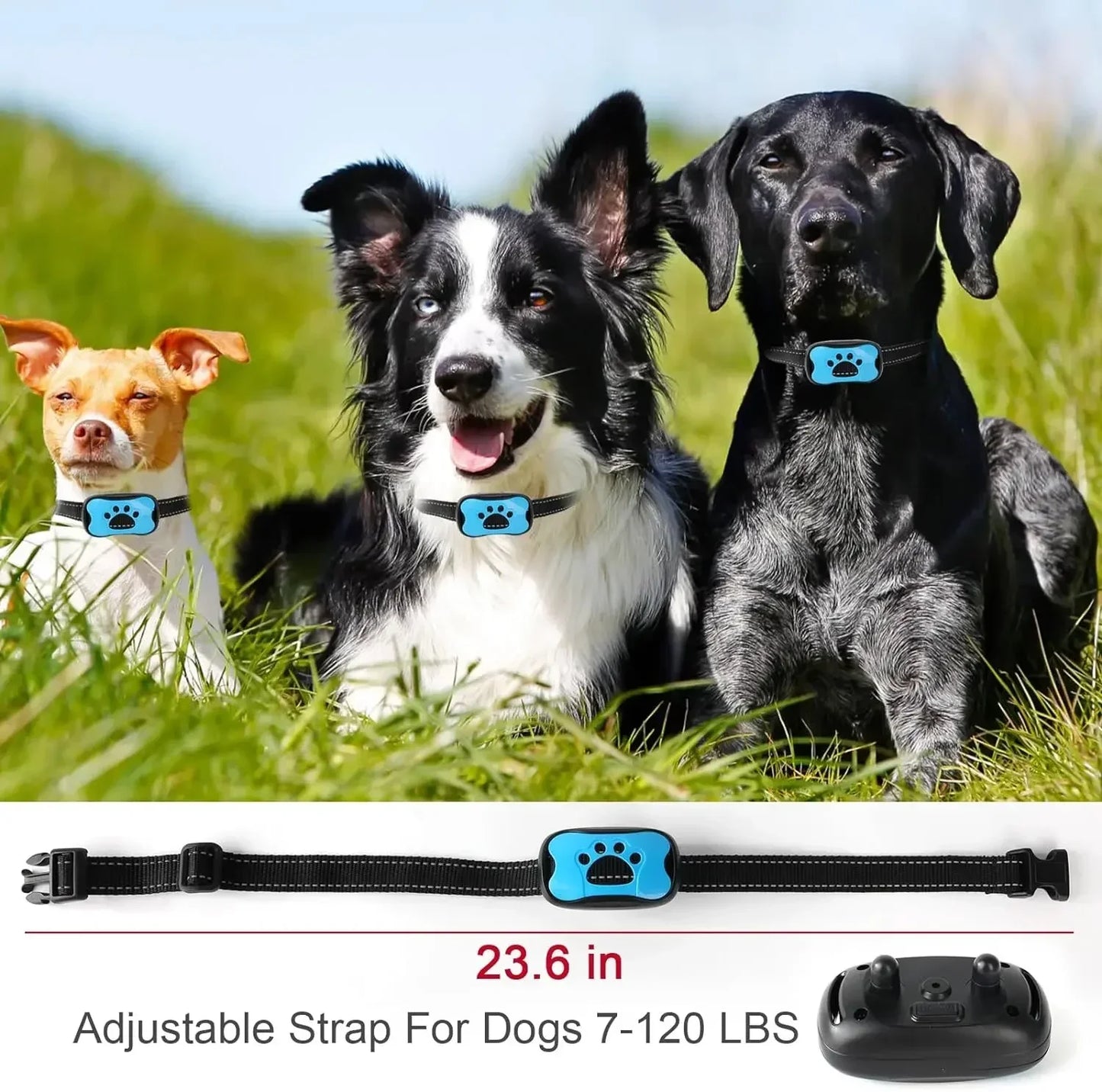 DISPOSITIF ANTI-ABOIEMENT POUR CHIEN DE COMPAGNIE RECHARGEABLE